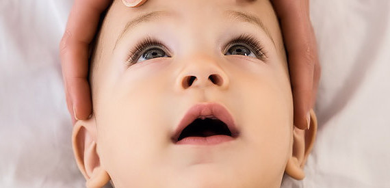 cache/resized/08a9c0fd3188082ce1e2893a07ee647b.jpg
